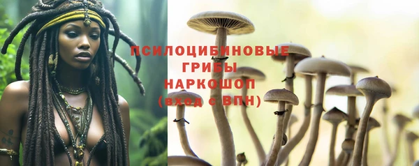 прущая мука Алексеевка