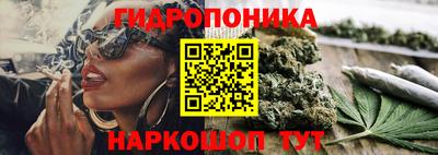 стаф Тулун