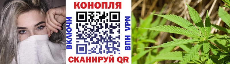 закладка  Новочеркасск  Бошки марихуана тримм 